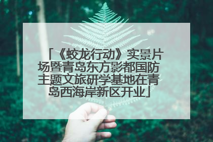 《蛟龙行动》实景片场暨青岛东方影都国防主题文旅研学基地在青岛西海岸新区开业