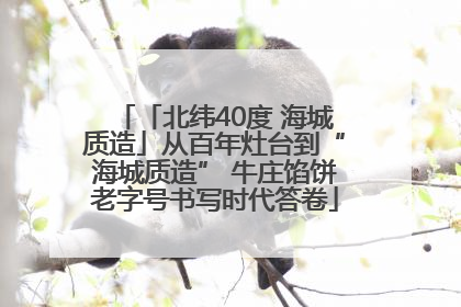 「北纬40度 海城质造」从百年灶台到“海城质造” 牛庄馅饼老字号书写时代答卷