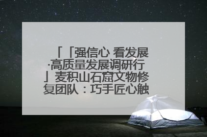 「强信心 看发展·高质量发展调研行」麦积山石窟文物修复团队：巧手匠心触摸“光阴的故事”