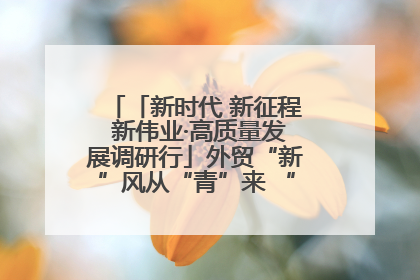 「新时代 新征程 新伟业·高质量发展调研行」外贸“新”风从“青”来 “双向奔赴”启新程