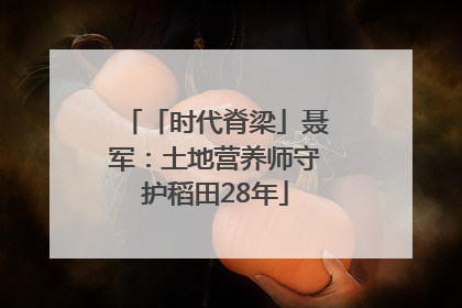 「时代脊梁」聂军：土地营养师守护稻田28年