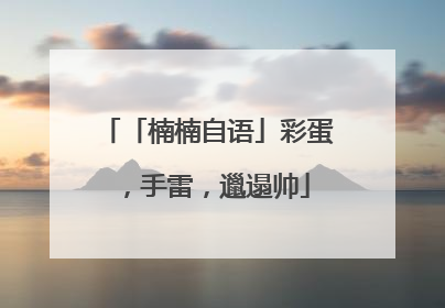 「楠楠自语」彩蛋，手雷，邋遢帅