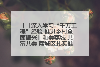 「深入学习“千万工程”经验 推进乡村全面振兴」和美荔城 共富共美 荔城区扎实推进乡村振兴工作