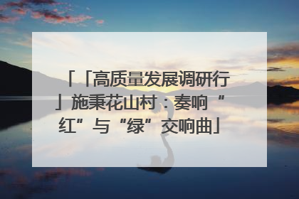 「高质量发展调研行」施秉花山村：奏响“红”与“绿”交响曲