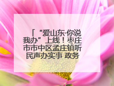 “爱山东·你说我办”上线！枣庄市市中区孟庄镇听民声办实事 政务服务暖心升级