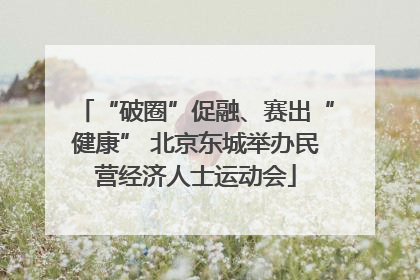 “破圈”促融、赛出“健康” 北京东城举办民营经济人士运动会