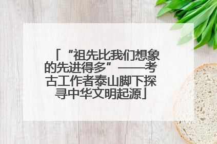 “祖先比我们想象的先进得多”——考古工作者泰山脚下探寻中华文明起源