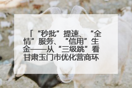 “秒批”提速、“全情”服务、“信用”生金——从“三级跳”看甘肃玉门市优化营商环境的进阶之路