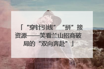 “穿针引线”“拼”接资源——笑看兰山招商破局的“双向奔赴”