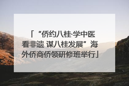 “侨约八桂·学中医 看非遗 谋八桂发展”海外侨商侨领研修班举行
