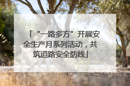 “一路多方”开展安全生产月系列活动，共筑道路安全防线