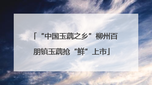 “中国玉藕之乡”柳州百朋镇玉藕抢“鲜”上市