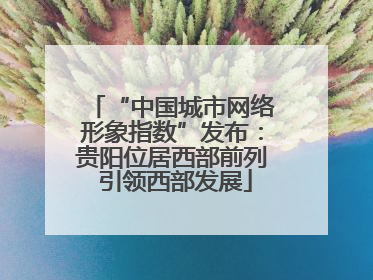 “中国城市网络形象指数”发布：贵阳位居西部前列 引领西部发展