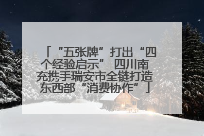 “五张牌”打出“四个经验启示” 四川南充携手瑞安市全链打造东西部“消费协作”
