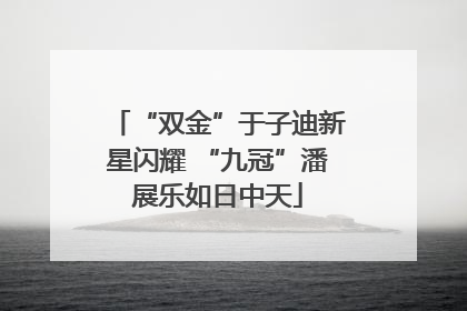 “双金”于子迪新星闪耀 “九冠”潘展乐如日中天