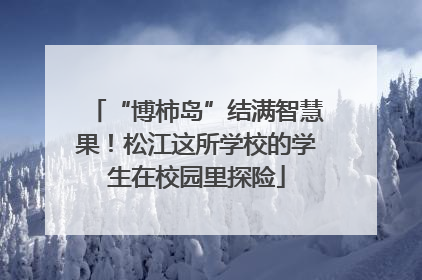 “博柿岛”结满智慧果！松江这所学校的学生在校园里探险