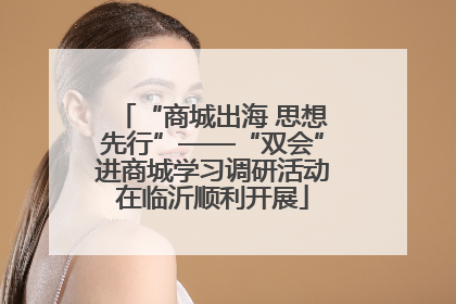 “商城出海 思想先行”——“双会”进商城学习调研活动在临沂顺利开展