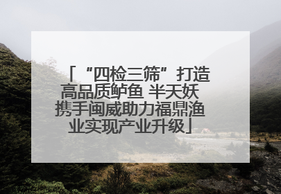 “四检三筛”打造高品质鲈鱼 半天妖携手闽威助力福鼎渔业实现产业升级