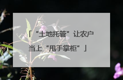 “土地托管”让农户当上“甩手掌柜”