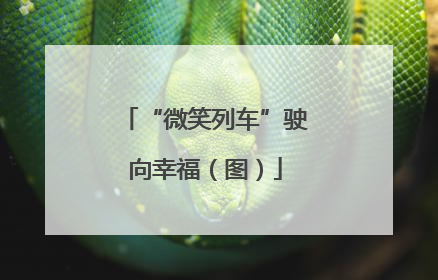 “微笑列车”驶向幸福（图）