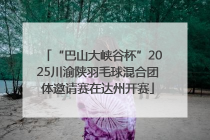 “巴山大峡谷杯”2025川渝陕羽毛球混合团体邀请赛在达州开赛