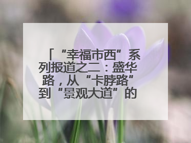 “幸福市西”系列报道之二：盛华路，从“卡脖路”到“景观大道”的华丽转身
