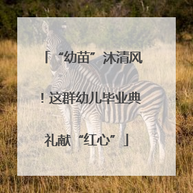 “幼苗”沐清风！这群幼儿毕业典礼献“红心”