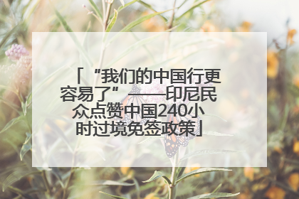 “我们的中国行更容易了”——印尼民众点赞中国240小时过境免签政策