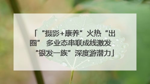 “摄影+康养”火热“出圈” 多业态串联成线激发“银发一族”深度游潜力