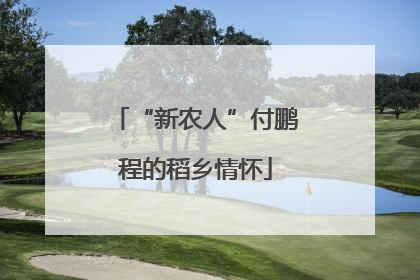 “新农人”付鹏程的稻乡情怀