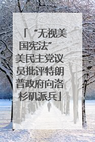 “无视美国宪法” 美民主党议员批评特朗普政府向洛杉矶派兵