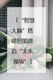 “智慧大脑”搭建智能建造“未来现场”