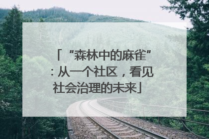 “森林中的麻雀”：从一个社区，看见社会治理的未来