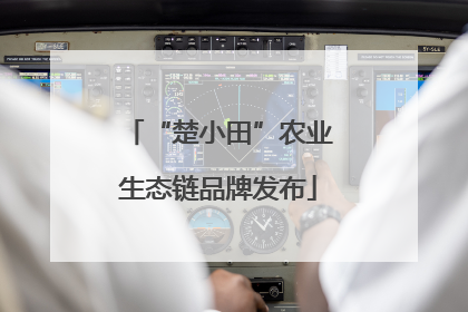 “楚小田”农业生态链品牌发布