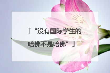 “没有国际学生的哈佛不是哈佛”