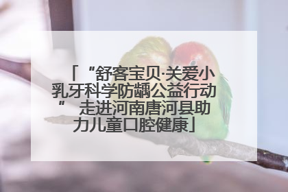 “舒客宝贝·关爱小乳牙科学防龋公益行动” 走进河南唐河县助力儿童口腔健康