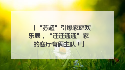 “苏超”引爆家庭欢乐局，“迁迁通通”家的客厅有俩主队！