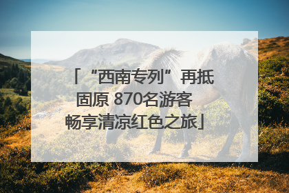 “西南专列”再抵固原 870名游客畅享清凉红色之旅