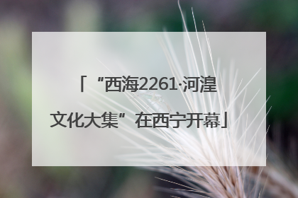 “西海2261·河湟文化大集”在西宁开幕