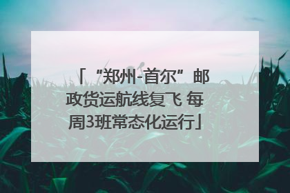 “郑州-首尔”邮政货运航线复飞 每周3班常态化运行