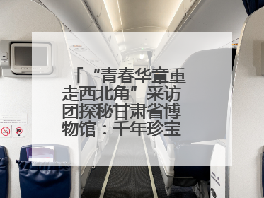 “青春华章重走西北角”采访团探秘甘肃省博物馆：千年珍宝诉说丝路辉煌