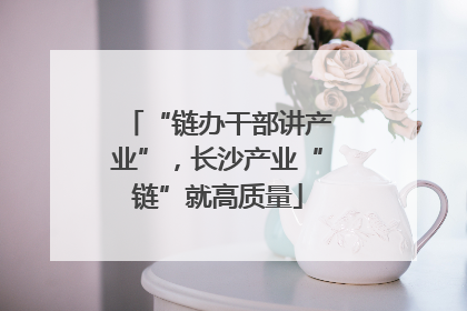 “链办干部讲产业”，长沙产业“链”就高质量