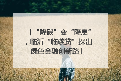 “降碳”变“降息”，临沂“临碳贷”探出绿色金融创新路