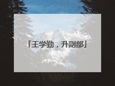 王学勤，升副部