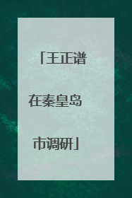 王正谱在秦皇岛市调研