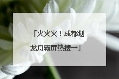 火火火！成都划龙舟霸屏热搜→