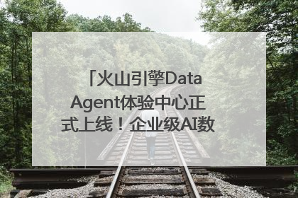 火山引擎Data Agent体验中心正式上线！企业级AI数据专家触手可及