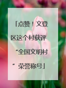 点赞！文登区这个村获评“全国文明村”荣誉称号