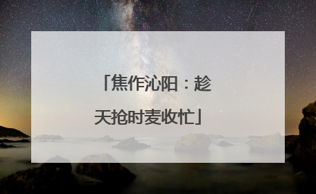 焦作沁阳：趁天抢时麦收忙