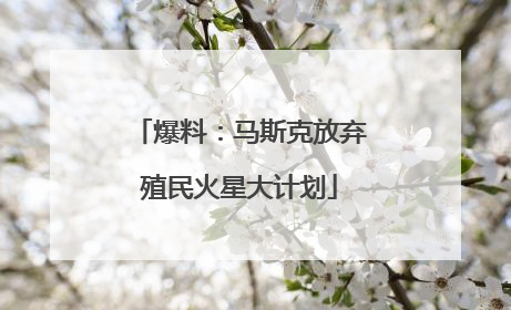 爆料：马斯克放弃殖民火星大计划